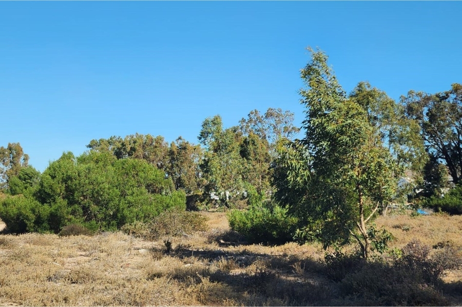 0 Bedroom Property for Sale in Brittania Beach Estate Western Cape